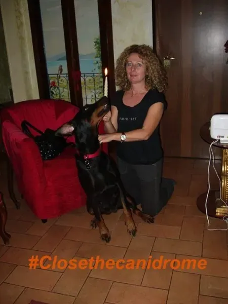 12036856 898356650248191 4427555442766338632 n