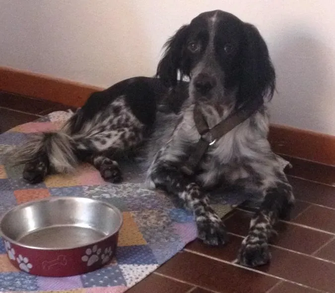 12036936 10206178058244119 7020693341568899050 n