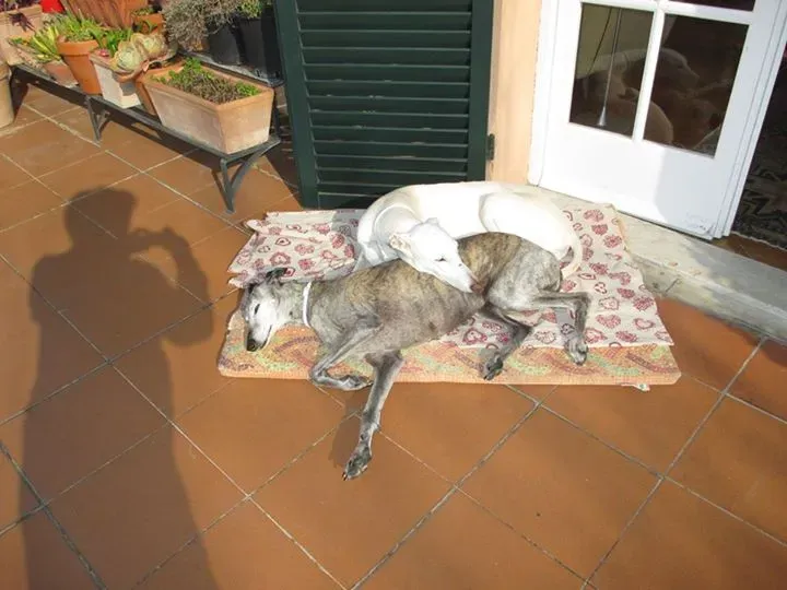 12036960 1054033084616040 610477631227566118 n