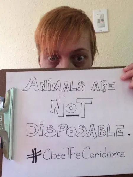 12037979 10153164997353354 1403545192167636435 n