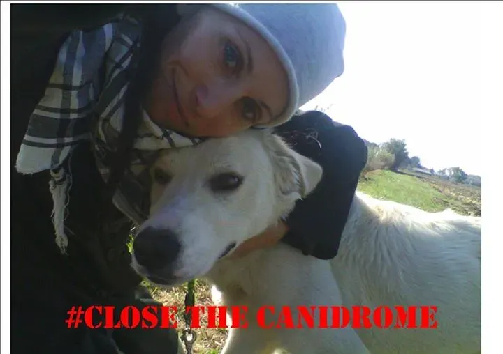 12038004 1099878423356433 3685375161542008068 n