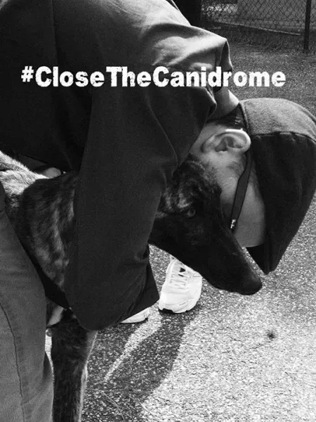 12038029 10206416686327424 7421768117123212554 n