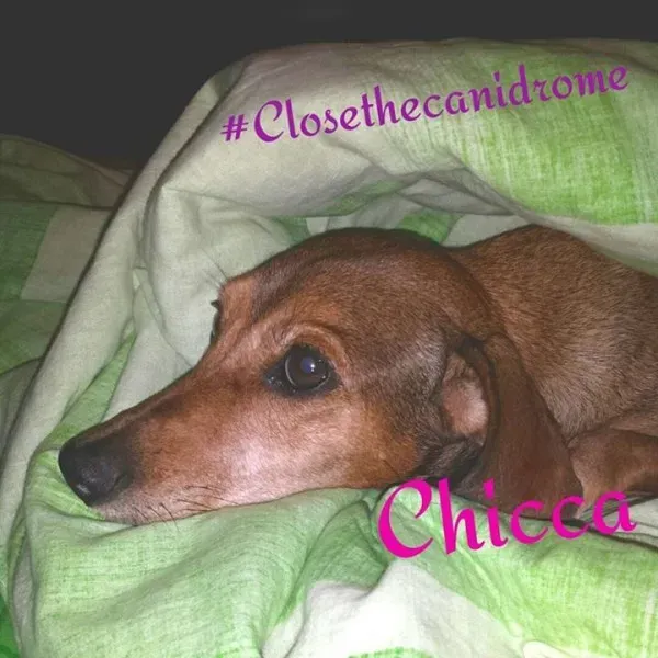 12038030 10205019306425602 3834571061345190086 n