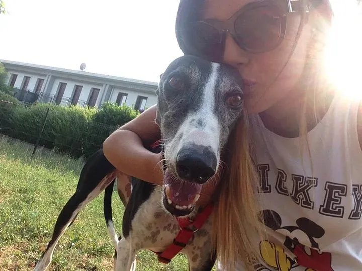 12038075 884188381649813 8672564952118738212 n