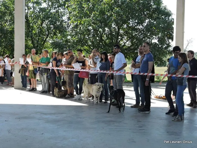 12038092 894618000622056 871707098680086755 n