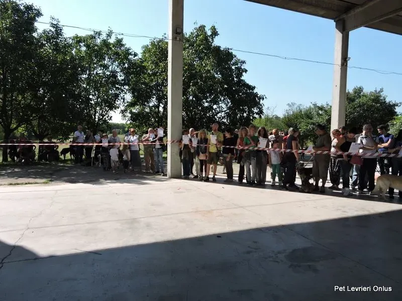 12038203 894618063955383 6017311983801734896 n