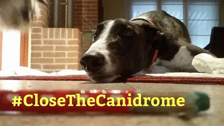 12038233 536032649900012 164206637046665200 n