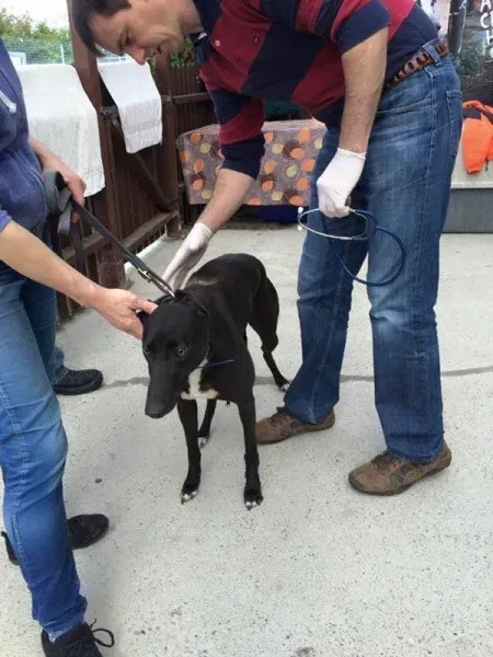 12038236 892041760879680 5632307649841473144 n