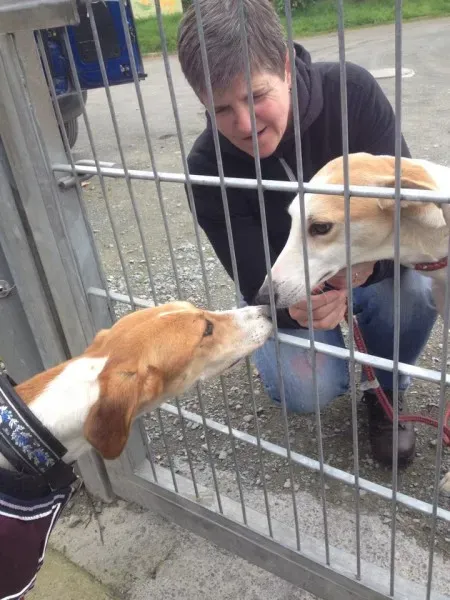 12038254 1086822051335493 7011595483930046006 n