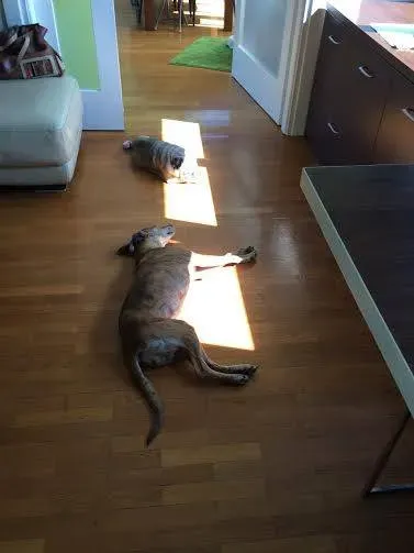 12038357 764288270363845 8332560842646475757 n