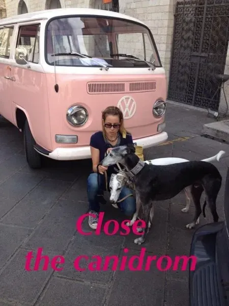 12038410 10206119743246435 7988733791502732882 n