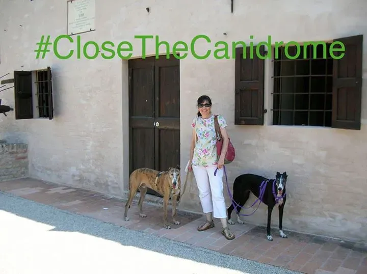 12038411 716543058489068 7740242478456468338 n