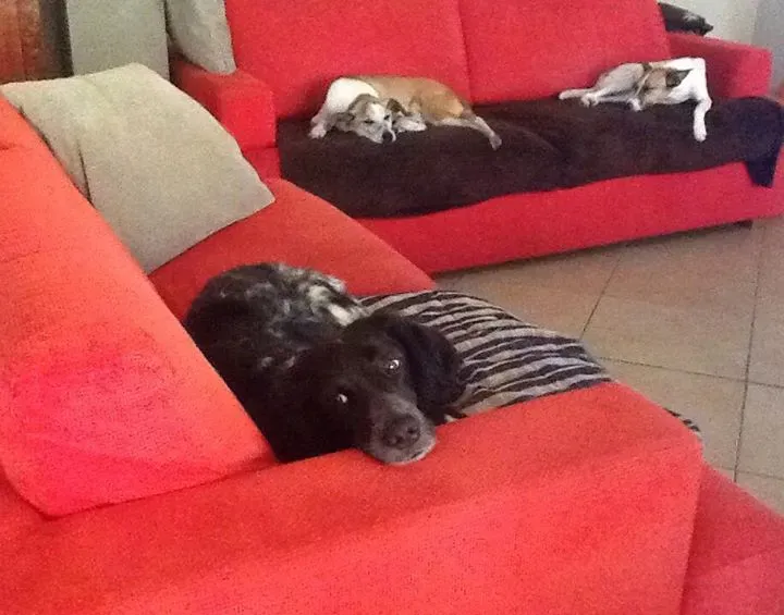 12038451 1135286976498758 2260174833827783248 n