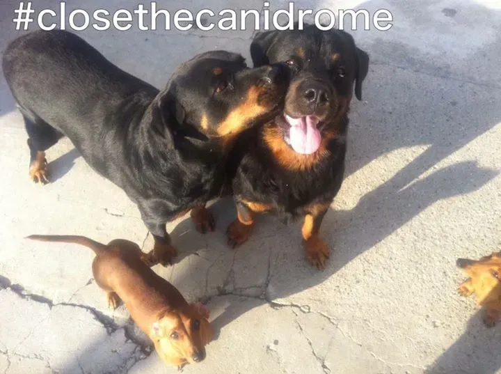 12038483 10205967360436477 5722881001949762682 n