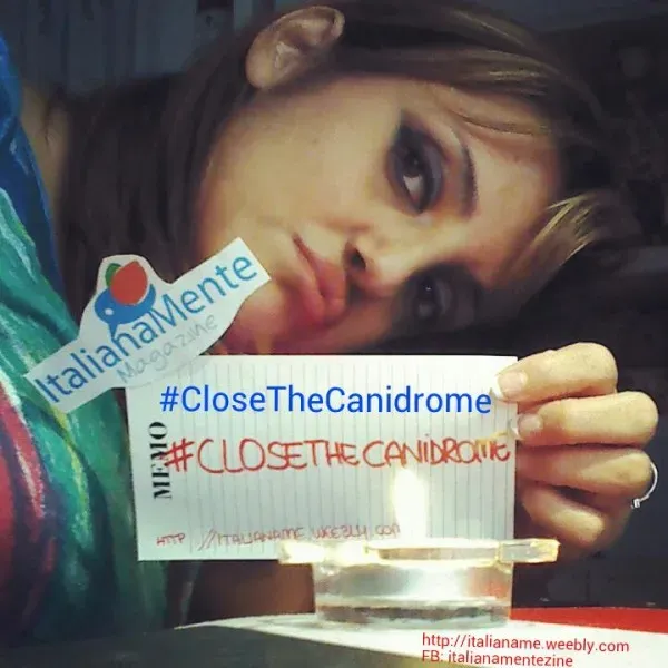 12038497 724799627624418 9114065324631133217 n