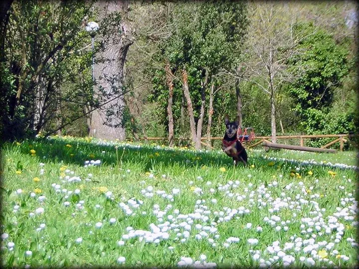 12038523 10208322803736179 8255598037097724471 n