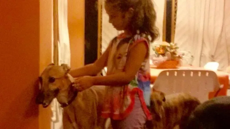 12038551 893078134109376 6763040044582218531 n