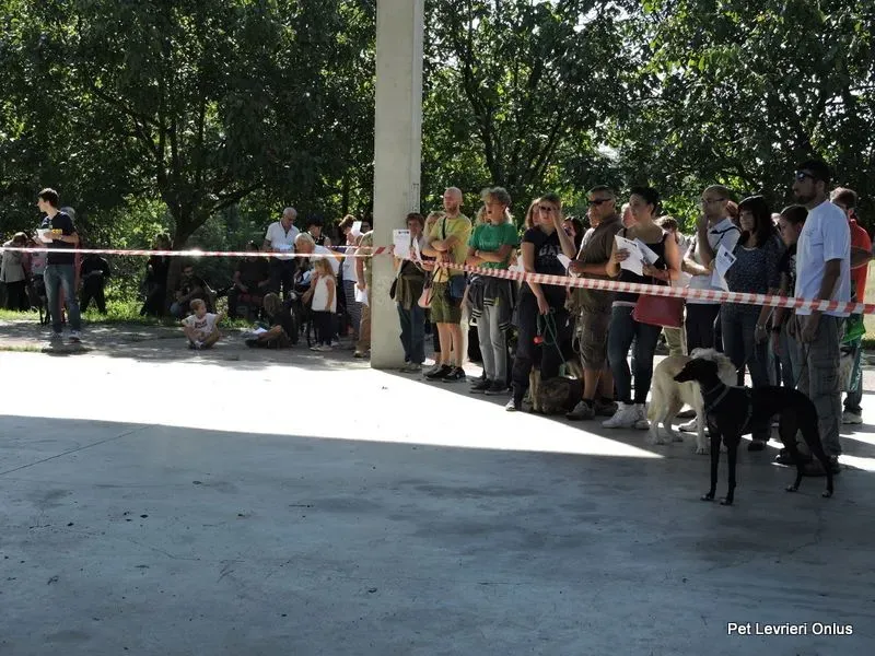 12039196 894617983955391 5638599635954934649 n