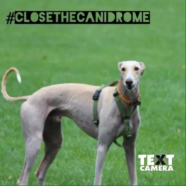 12039228 10205969451208053 5021413523827642552 n