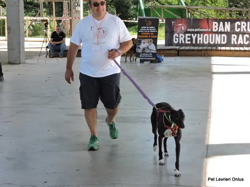 12039272 894804060603450 7065511854490312775 n