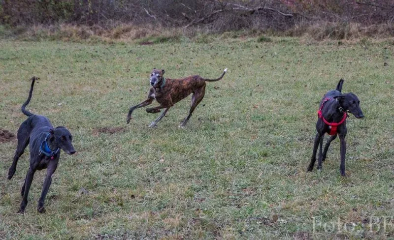 12039276 10207747467626224 337134156951388934 n