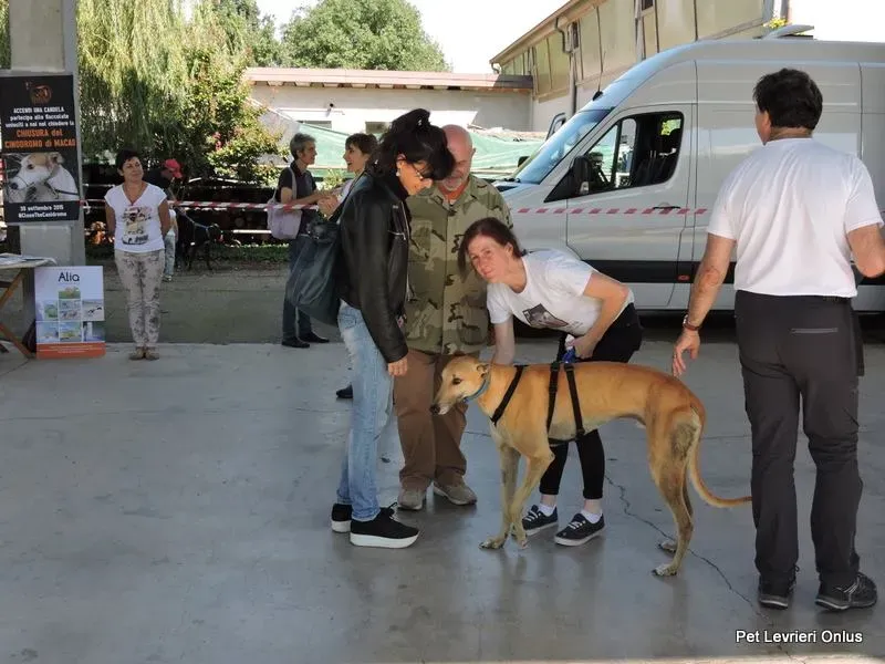 12039358 894799480603908 1150344929014326111 n