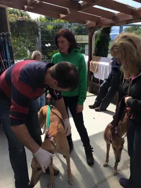 12039410 892133767537146 1829042077691811241 n