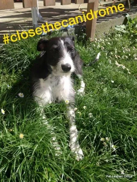 12039466 527715327383736 8004126536097467914 n