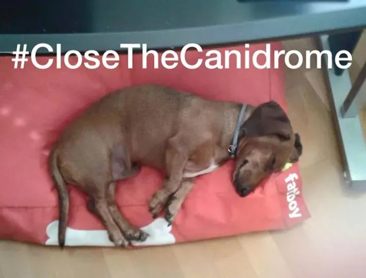 12039475 10153602510564029 5389021999257013902 n