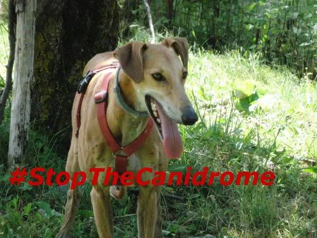 12039555 1603473296569561 1078726397620531233 n