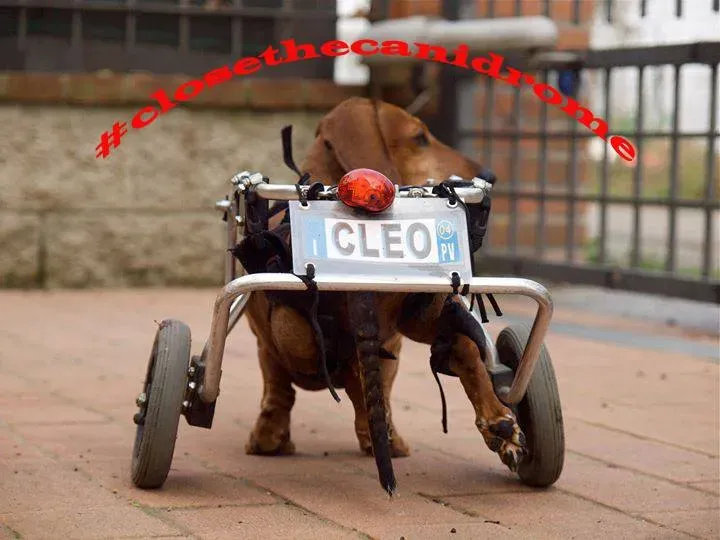 12039557 10205827878229251 3761269146102973354 n