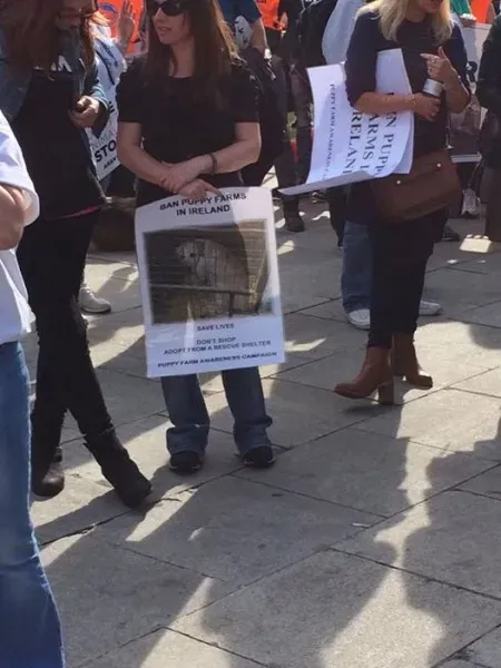 12039580 1087792347905130 8224590801165470221 n