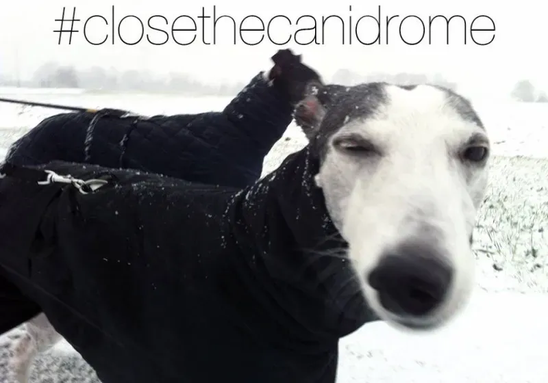 12039581 10206976534444845 2624027061788488350 n