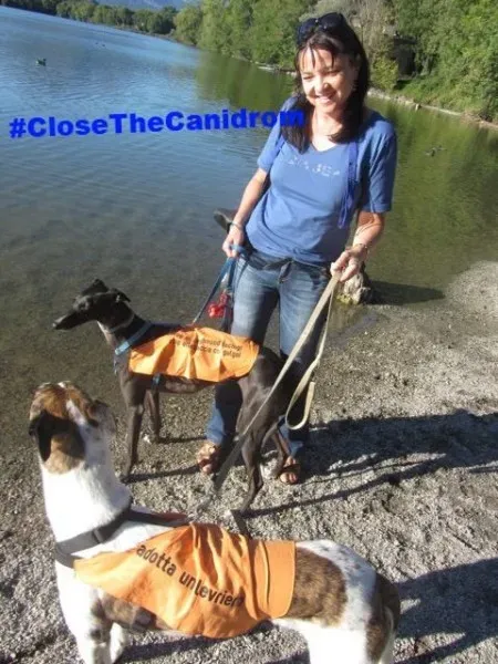 12039661 169575973383312 8739707156254587362 n