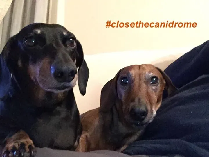 12039674 898376093579580 460460489859701533 n