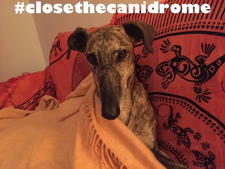 12039676 10207797014582440 8283273424291627049 n