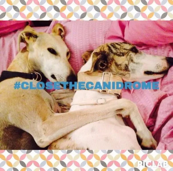 12039704 10205941803956620 7526590324289266348 n