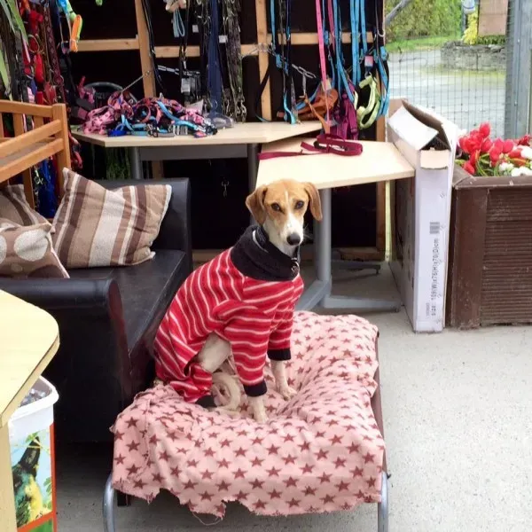 12039769 1085799414771090 6339636665913075676 n