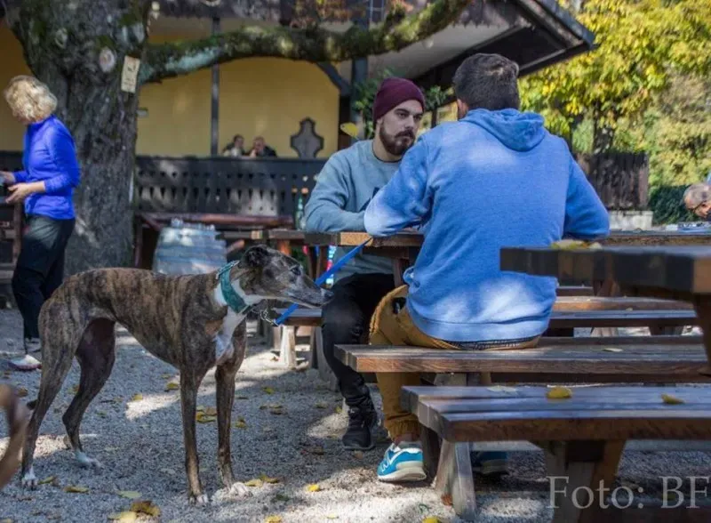 12039779 177496452590389 5768101507395054354 n