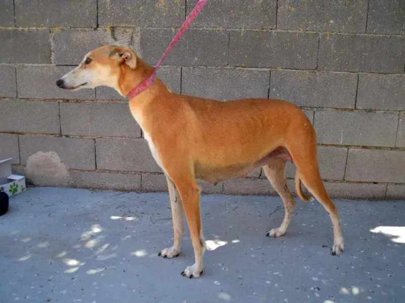 12041848 10205953773015839 877559567 n