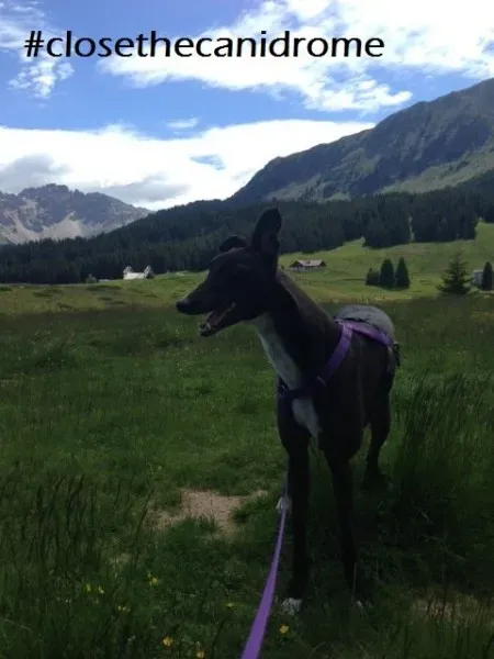 12042620 10205242738972977 1079195810077853431 n