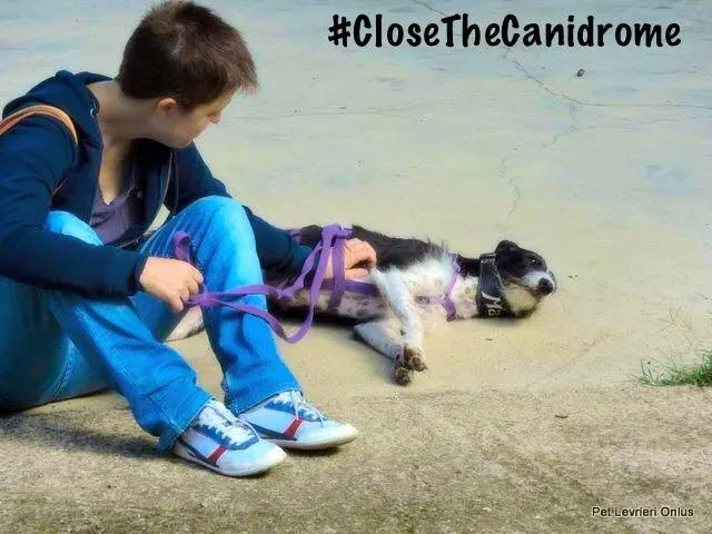 12042632 10207348629784549 7507854365573156629 n