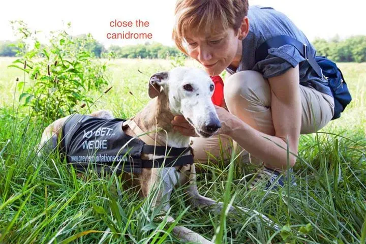 12042641 755491634577248 2545357902533614115 n