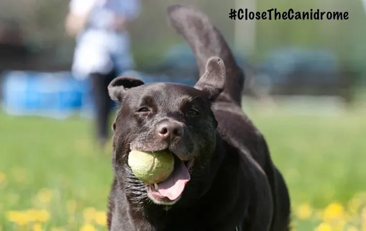 12042672 896669293750260 909342846691364772 n