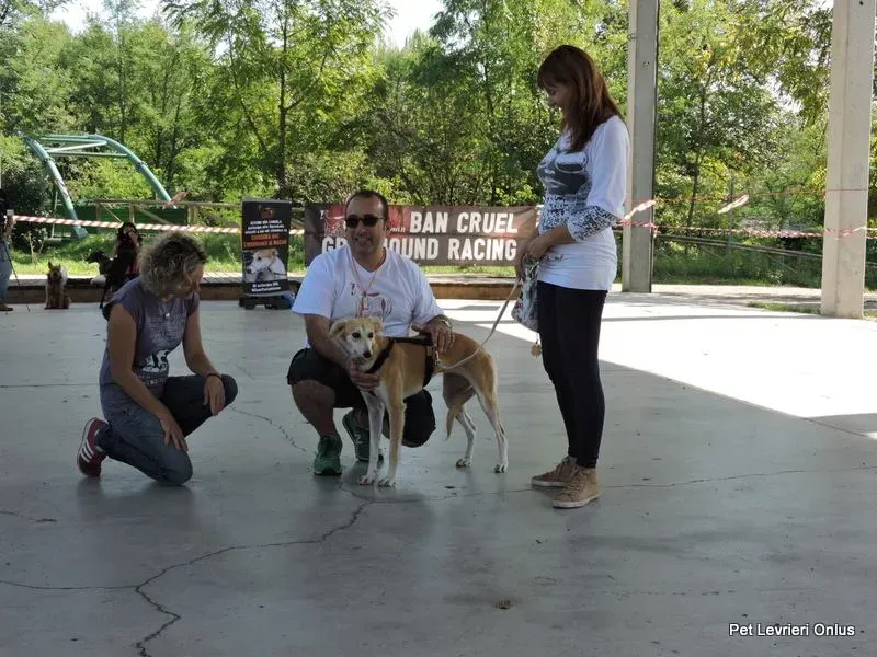 12042741 894802367270286 8145141777243487230 n