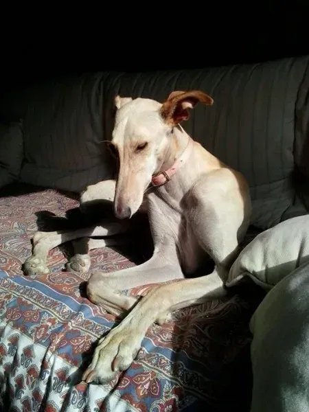 12042742 966839636687595 7138756269778402435 n