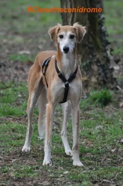 12042803 898544660229390 55892288438043400 n