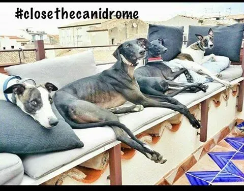 12042852 10207880780323129 8449191684095864611 n