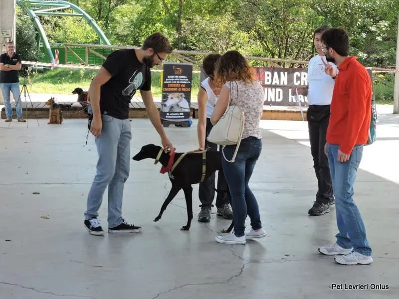 12042857 894803880603468 3785296918602299655 n