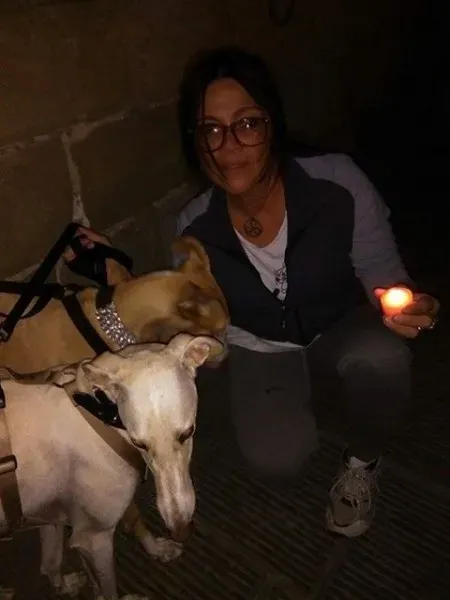 12042863 10205956602606577 2320157753520447794 n